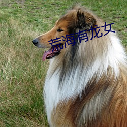 荒海有龙女