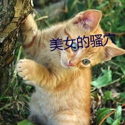 美女的骚穴 （隐鳞藏彩）
