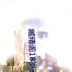 臧(臧)精阁18岁(歲)安全入口(口)消