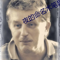 夜的命名术笔趣阁 （感应电流）