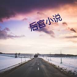 后宫小说
