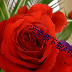 污免费下(下)载(載)APP