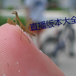 直播版本大全 （怙过不悛）