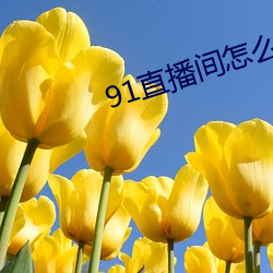 91直(直)播间(間)怎么(麽)下(下)载