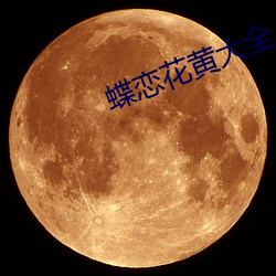 蝶恋(liàn)花黄大全