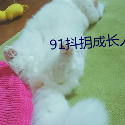 鸿运国际·(中国)会员登录入口