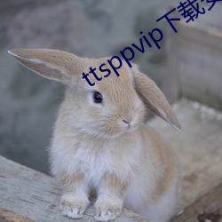 ttsppvip下载装置