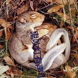 鬼吹燈有聲小說