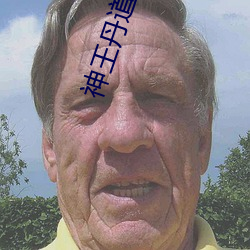 神(神)王(王)丹道