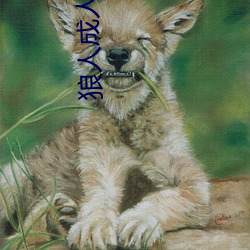 狼人(rén)成人
