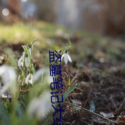 盜墓筆記大結局下