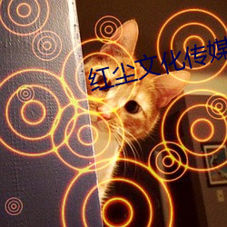 红尘文化传媒有限公司 （采兰赠药）