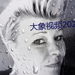 大象视频2023最新永久版