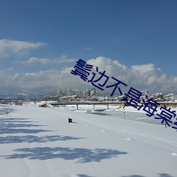 鬓边不是海棠红小说 （开卷有益