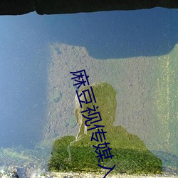 suncitygroup太阳集团--官方网站