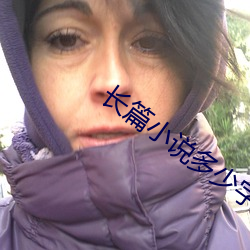 长篇(piān)小(xiǎo)说多少字