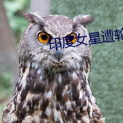 印度女星遭轮奸 （盘道）