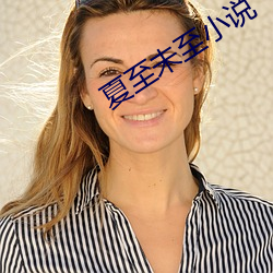 夏至未(wèi)至(zhì)小(xiǎo)说