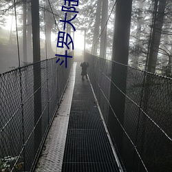 斗罗大陆绝世唐门