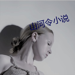 山河(hé)令小说