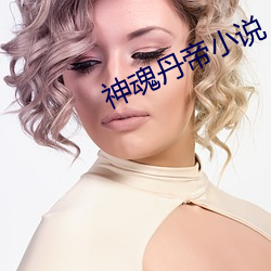神魂丹帝小说