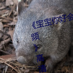 《寶寶你好會夾啊都拉絲了作文視頻》高清不卡在線觀看