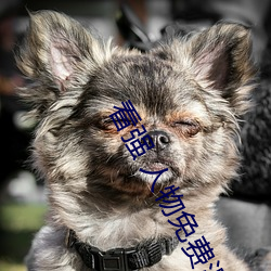 看(看)强(強) 人(人)物免费漫画(畫)入口(口)