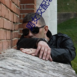 男女交配软件