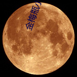 金梅瓶小說