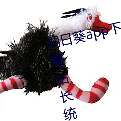 suncitygroup太阳集团--官方网站