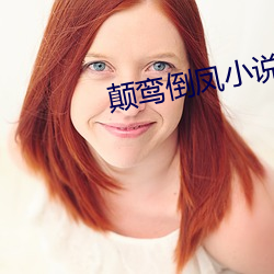 颠鸾倒凤小(小)说