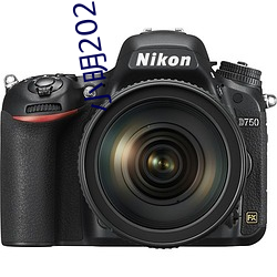 小明2021最新