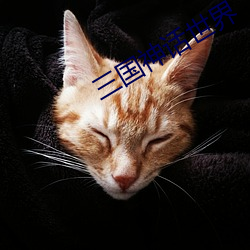 三国神话世(世)界(界)