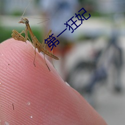 第(dì)一狂妃
