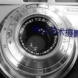 成人(人)艺(藝)术摄(攝)影