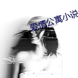 爱情公(公)寓(寓)小说