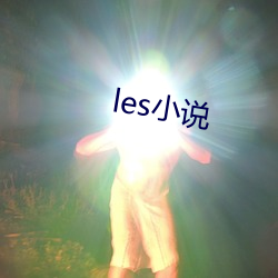 les小说