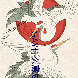 GAY什么意思 （青衫司马）