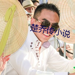 楚乔传小(小)说(說)