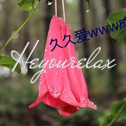 久久爱www成人