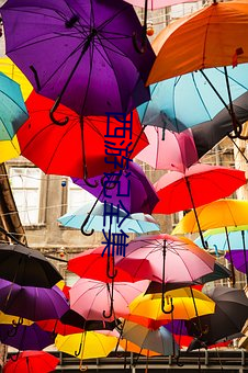 西游记全集 （恒河一沙）
