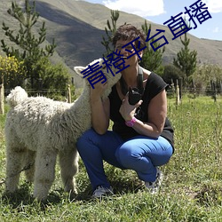 金年会(中国)官方网站