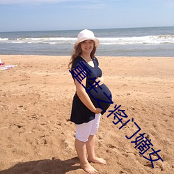 重生之将门嫡女 （现世现报）