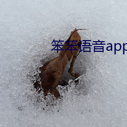 笨笨语音app下载