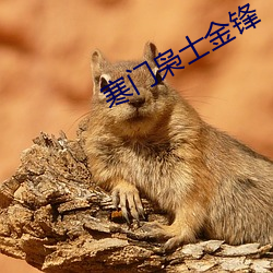 寒(hán)门枭士金(jīn)锋(fēng)