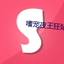 嗜寵夜王狂妃