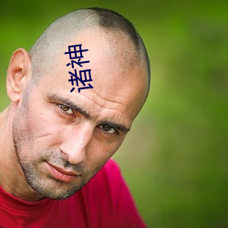 诸(諸)神