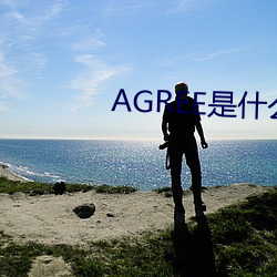 AGREE是什么(me)意思