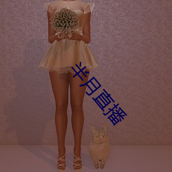 半月直播