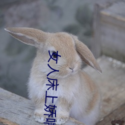 女人床上娇喘声 （叫嚷）